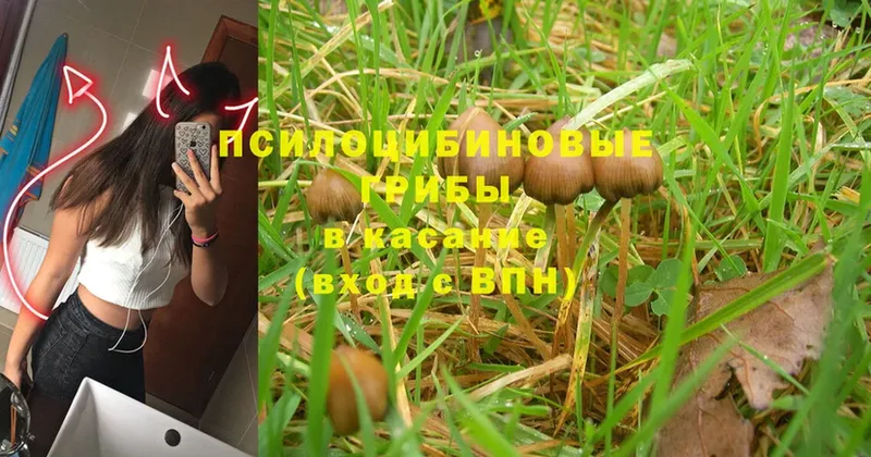 как найти закладки  Сортавала  Псилоцибиновые грибы Magic Shrooms 